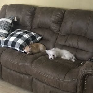 Meet your Posher, Kait